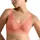 Bliss Apricot S