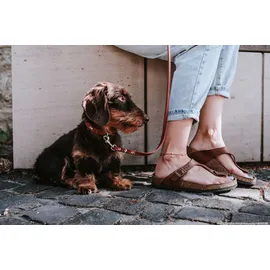 Hunter Verstellbare Führleine Canadian Up