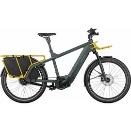 Riese & Müller Multicharger2 GT vario 2024 26 Zoll RH 51 cm utility grey/curry matt