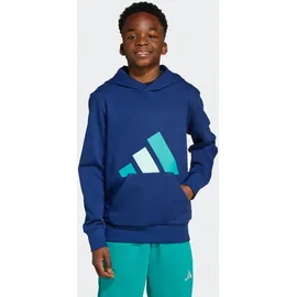 adidas Kinder Kapuzenshirt/Hoodie J BL FT HD Gr. 128