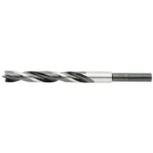 PTG Holzspiralbohrer 4 x 75 mm