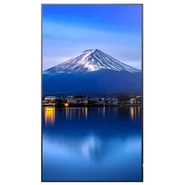 Sharp P656 65" 4K Ultra HD LED IPS Videowall TV