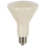 Kerbl Keramik-Dunkelstrahler 60 Watt