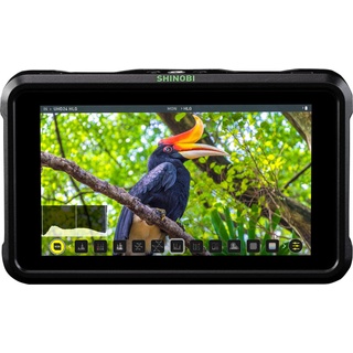 ATOMOS Shinobi - HDMI