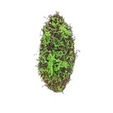 Hti-Living HTI living Moosmatte 90 x 30 cm Kunstpflanze Flora Kunstblume Dekoration