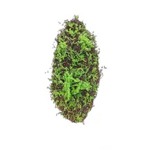 Hti-Living HTI living Moosmatte 90 x 30 cm Kunstpflanze Flora Kunstblume Dekoration