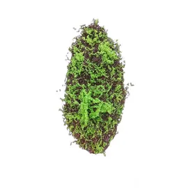 Hti-Living HTI living Moosmatte 90 x 30 cm Kunstpflanze Flora Kunstblume Dekoration