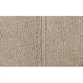 Niehoff Esszimmerstuhl Top Chairs Mikrofaser beige 2er Set