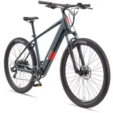 Telefunken M921 29 Zoll | Kettenschaltung | Heckmotor | 468 Wh Akku | EBike Pedelec Hardtail - Grau