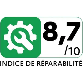 Rowenta X-Force Flex 13.60 Allergy RH9A30WO