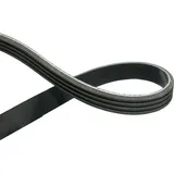 Kavo Parts Keilrippenriemen