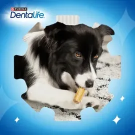 Dentalife PURINA Hunde Zahnpflege-Snacks Großpackung Medium
