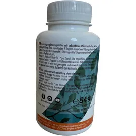 ProFuel Curcuma Extrakt Kapseln 90 St.