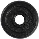 VirtuFit Gusseisen Hantelscheibe Serie 0,5 kg bis 20 kg (10, Kilogramm)
