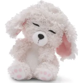 NICI 49749 Kuscheltier Hund Pudel weiß 12cm schlafend im