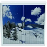 PAPERFLOW Aktenschrank Rollladenschrank easyoffice BxTxH 86x37,5x104cm Winterlandschaft