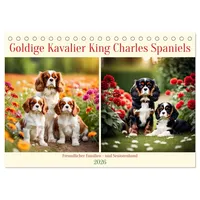 Calvendo Goldige Kavalier King Charles Spaniels (Tischkalender 2026 DIN
