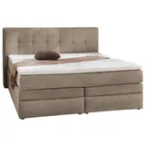 JOB Boxspringbett AMY, 180 x 200 cm - Taupe Cord mit Bettkästen