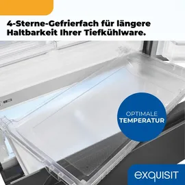 Exquisit FD490-160-WS-202E French Door (506 l, 1830 mm hoch, Silber)