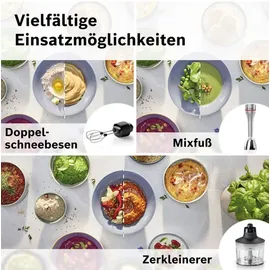 Bosch ErgoMaster Serie 8 MSM8M934 Stabmixer