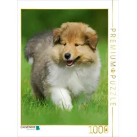 Calvendo Puzzle Collie Welpe auf Entdeckungsreise 1000 Teile Puzzle