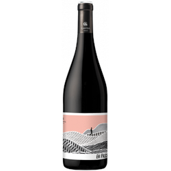 En Passant 2022 - Domaine Gayda