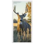 MuchoWow Türtapete Hirsche - Gras - Herbst - Geweih - Natur - Tiere, Matt, bedruckt, (1 St), Türposter Selbstklebend, Deko Folie Tür und Möbel, 95x215 cm bunt 95 m x 215 m