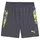 Puma Individualcup Kurze Hose - Galactic Gray - 2XL