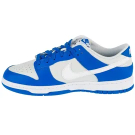 Nike Dunk Low Herren Blau/Grau/Weiß 45