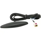 ACV Electronic Glasklebeantenne AM/FM Fakra (f)