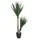 HJH Office Kunstpflanze YUCCA / Kunstbaum groß Zimmerpflanze künstlich, 871007