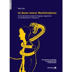 Im Banne Innerer Machtstrukturen - Mario Spiz, Kartoniert (TB)