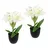 I.GE.A. Kunstblume I.GE.A. "Amaryllis im Topf", weiß, B:17cm H:28cm L:14cm, Polyester, Kunstpflanzen, 2erSet Blume Weihnachtsblume Weihnachtsdeko Winterblume Floristik Deko