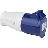 CALIMA 46031 CEE Kupplung 16A 230V 1St.