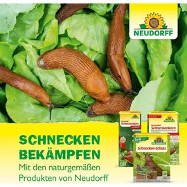 NEUDORFF Ferramol Schneckenkorn 1 kg