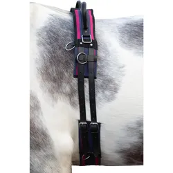 Longiergurt Canvas mit Doppelgriff navy/passion pink WARMBLUT