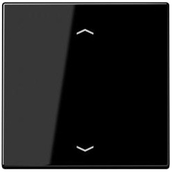 Jung Steuertaste Standard Pfeile (schwarz)