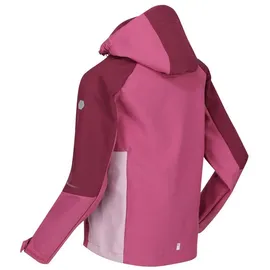 Regatta Eastcott Ii Softshelljacke - Violet / Ama Hz - 14 Jahre