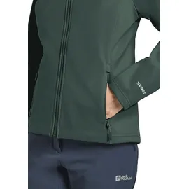 Jack Wolfskin Bornberg Hoody W