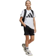 adidas Essentials Kids Trainingsanzug Weiß/Schwarz 176