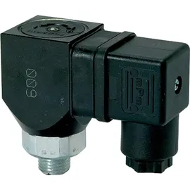 Riegler Druckschalter, Wechselkontakt drehbar, Stahl verzinkt, G 1/8, 1-10 bar