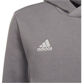 Adidas Entrada 22 Hoodie Kinder tegrfo 140