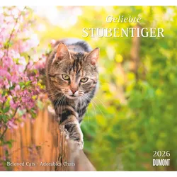 Geliebte Stubentiger - Kalender 2026