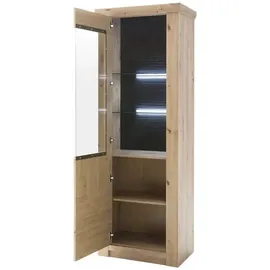 Landscape Vitrine BRUNECK