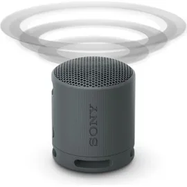 Sony SRS-XB100 schwarz