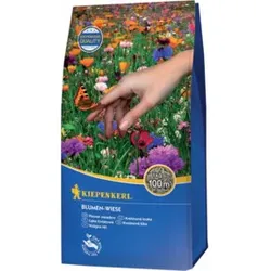 Kiepenkerl Blumen-Wiese 1 kg