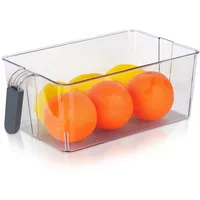 Excellent Houseware Aufbewahrungsbox 31x18x11,5 cm transparent