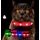 petsation Leuchtendes Katzenhalsband M-L rot