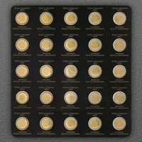 Royal Canadian Mint 25 x 1 g Gold Maplegram