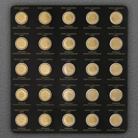 Royal Canadian Mint 25 x 1 g Gold Maplegram